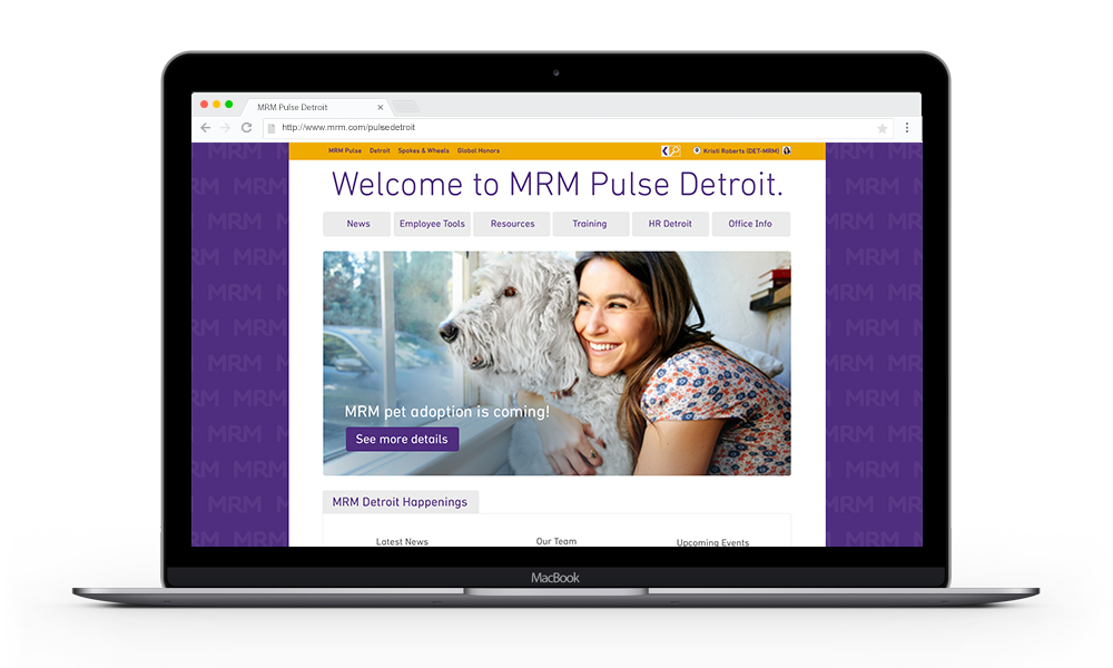 MRM Pulse Detroit Website - Version 1